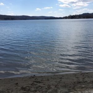 Meet your Posher, Remi